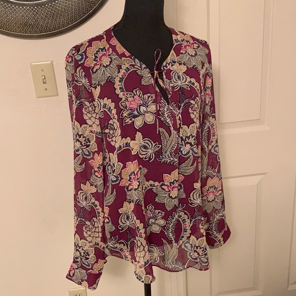 Pheasant ~ Sheer Top Size Med Banana Republic - Picture 1 of 8